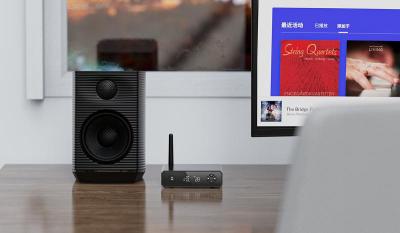 FiiO Hi-Res Bluetooth Receiver - BR13